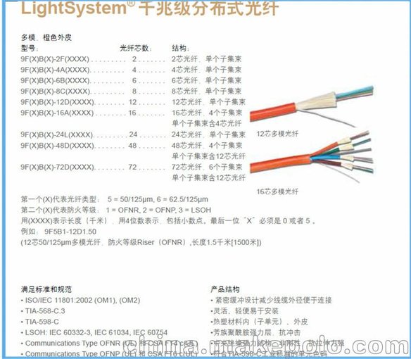 金融中介服務的關鍵角色與價值