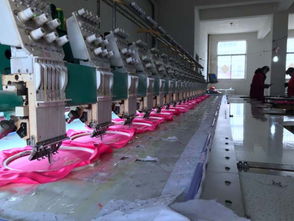 蘇北小鎮(zhèn)的雄心 情趣內(nèi)衣產(chǎn)業(yè)從“零散”到“鏈條”的整合之路