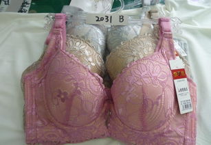 批發(fā)優(yōu)質(zhì)品牌文胸，舒適柔軟，廠家直供，價格實惠，圖片實拍
