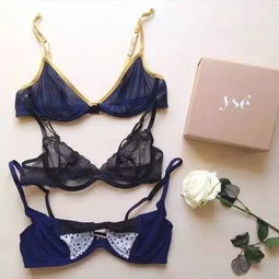 單品推薦 這幾個顏值逆天的內衣品牌，你都穿過嗎？