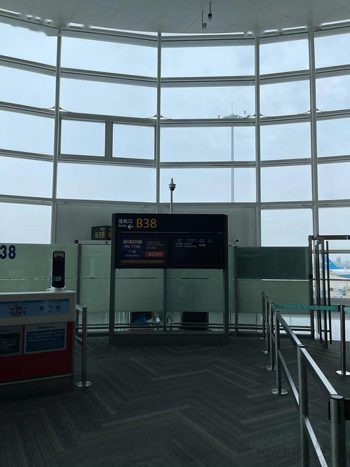 云端之上的溫暖 海航精品航線掠影——從杭州到廣州的非凡旅程
